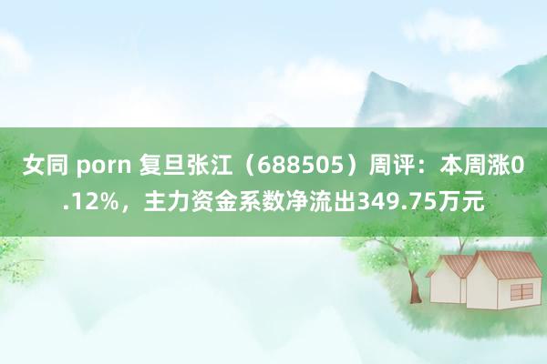 女同 porn 复旦张江（688505）周评：本周涨0.12%，主力资金系数净流出349.75万元