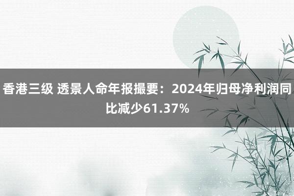 香港三级 透景人命年报撮要：2024年归母净利润同比减少61.37%